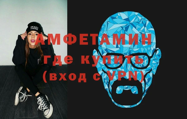 индика Анжеро-Судженск