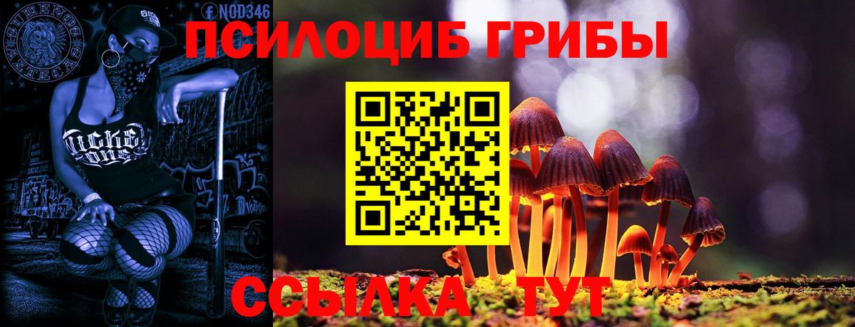 Галлюциногенные грибы MAGIC MUSHROOMS Курск