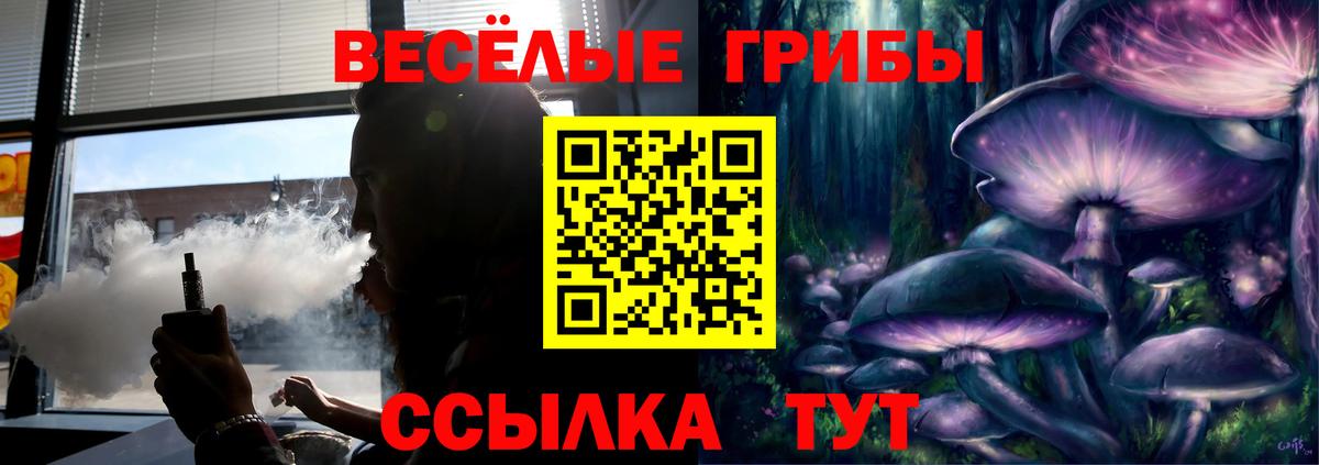 Курск  Псилоцибиновые грибы Cubensis  Вход с VPN 